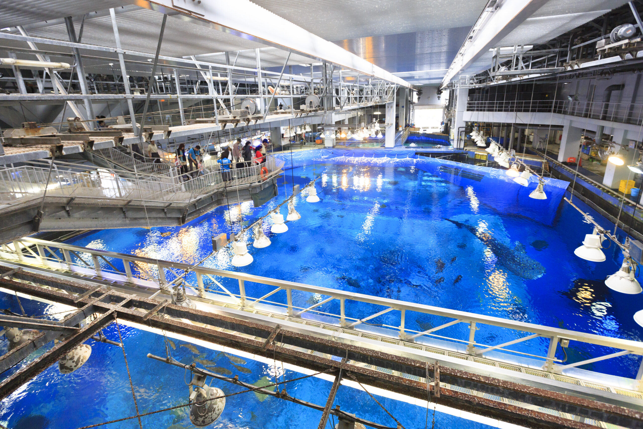 沖繩水族館
